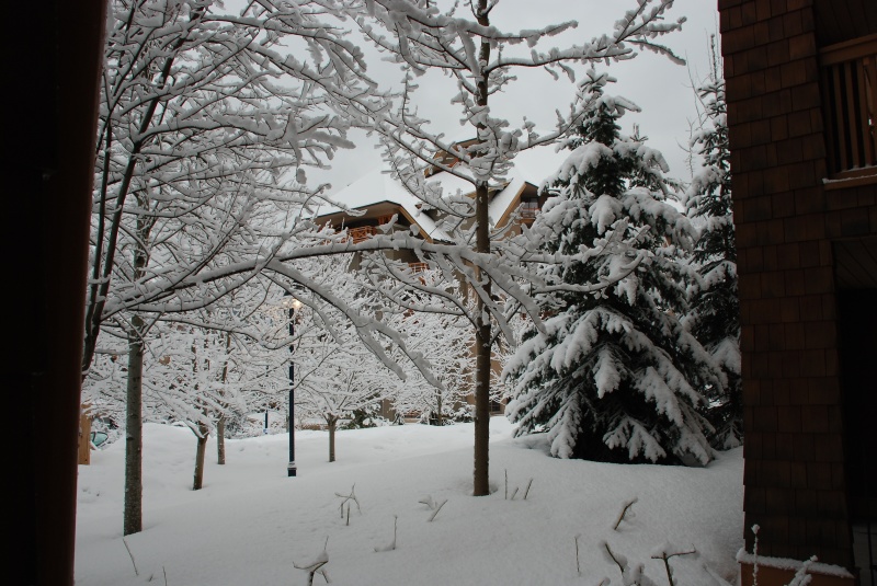 2009/03(Mar)/WHISTLER WITH MUSSATTOS/800x600_2009-03-WHISTLER WITH MUSSATTOS 12.jpg